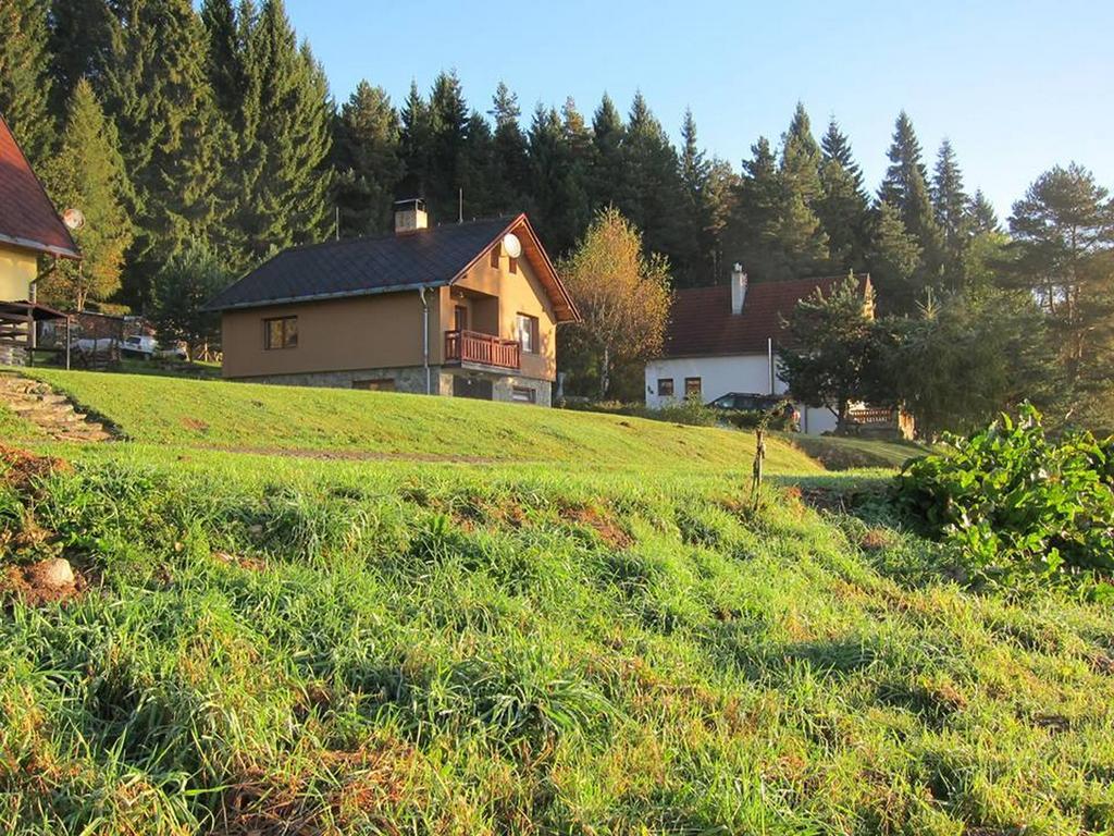 Chata Ostruzina 10+2 Lipno nad Vltavou Exterior foto