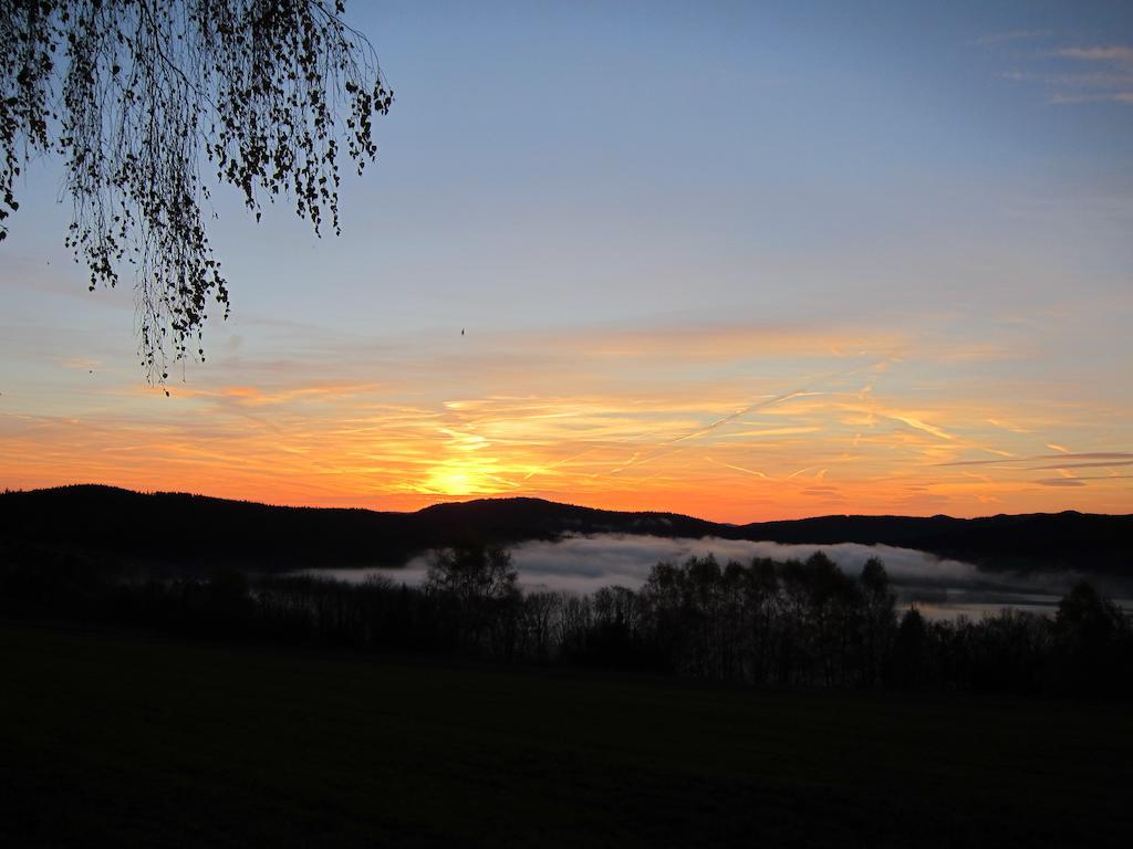 Chata Ostruzina 10+2 Lipno nad Vltavou Cameră foto