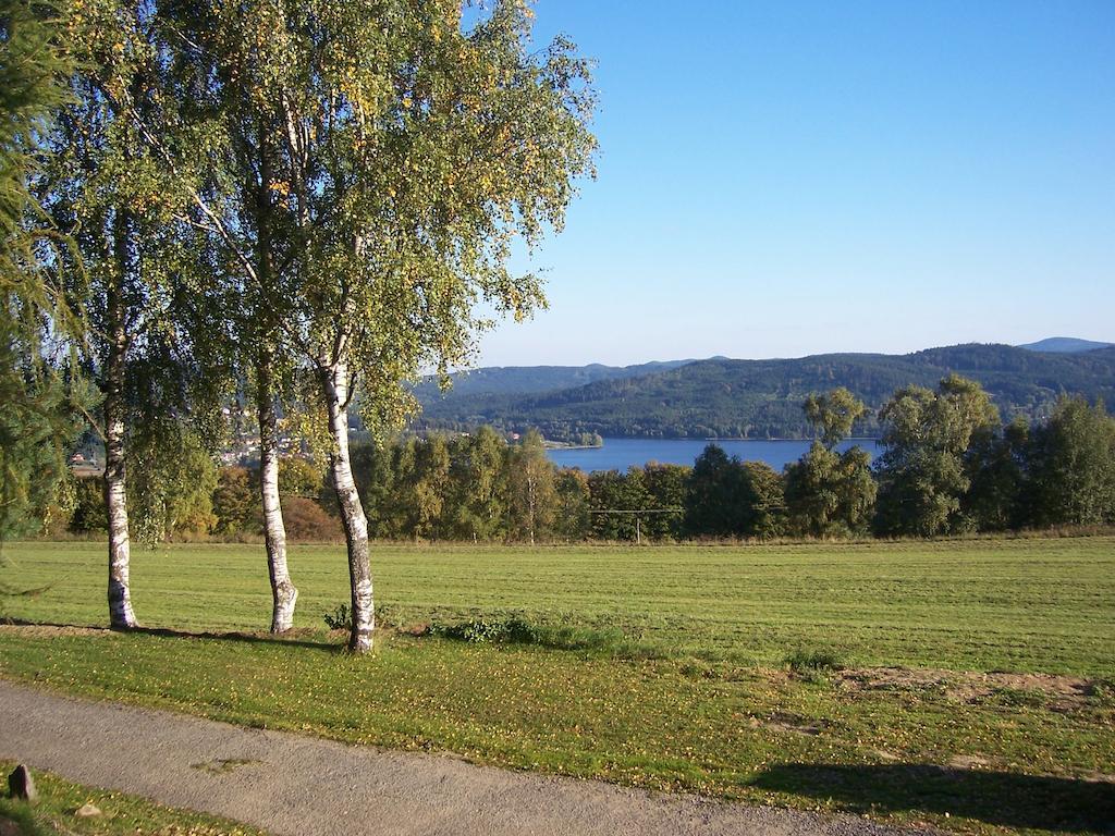 Chata Ostruzina 10+2 Lipno nad Vltavou Exterior foto